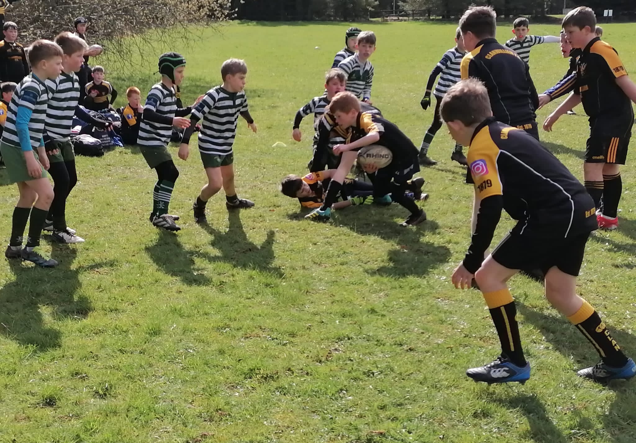 Clan U11s at Joe Moran Rugby Festival in Naas - Clanwilliam F.C